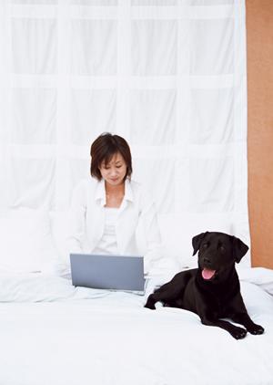 動画と音声で集客するテレビ看板